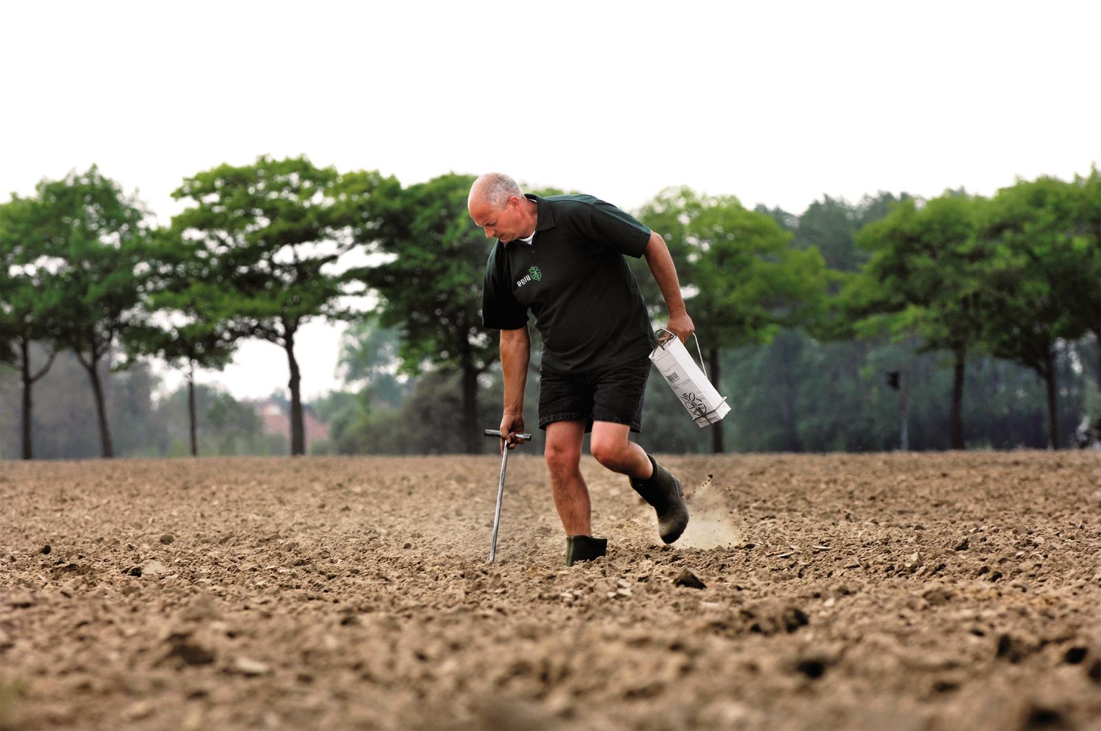 Fertile marine clay soil
