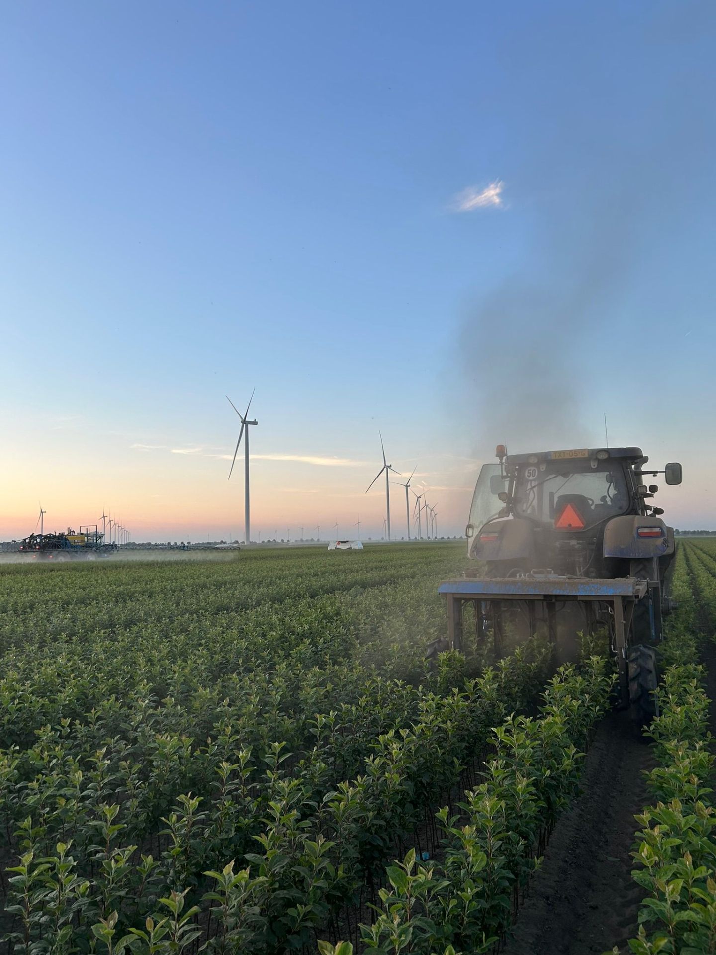 Gewasbescherming bij zonsopgang op de velden in Swifterbant